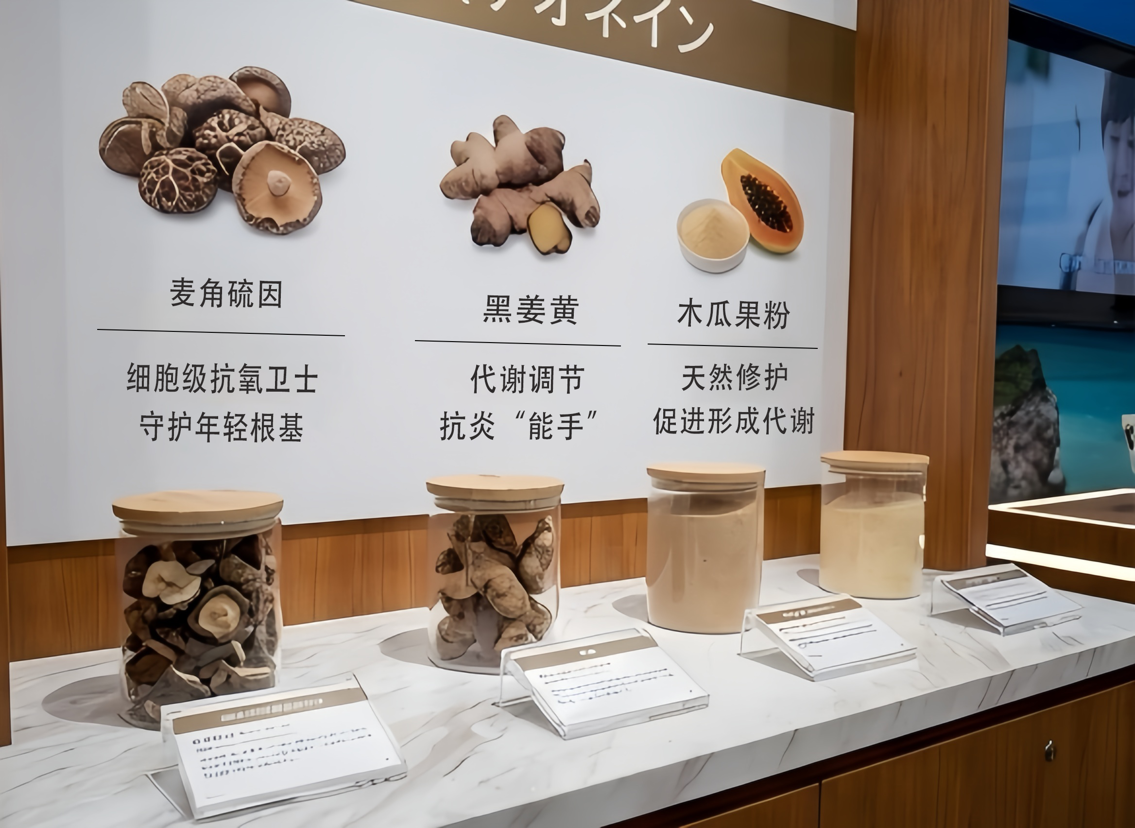 微信图片_20251214205537_145_4